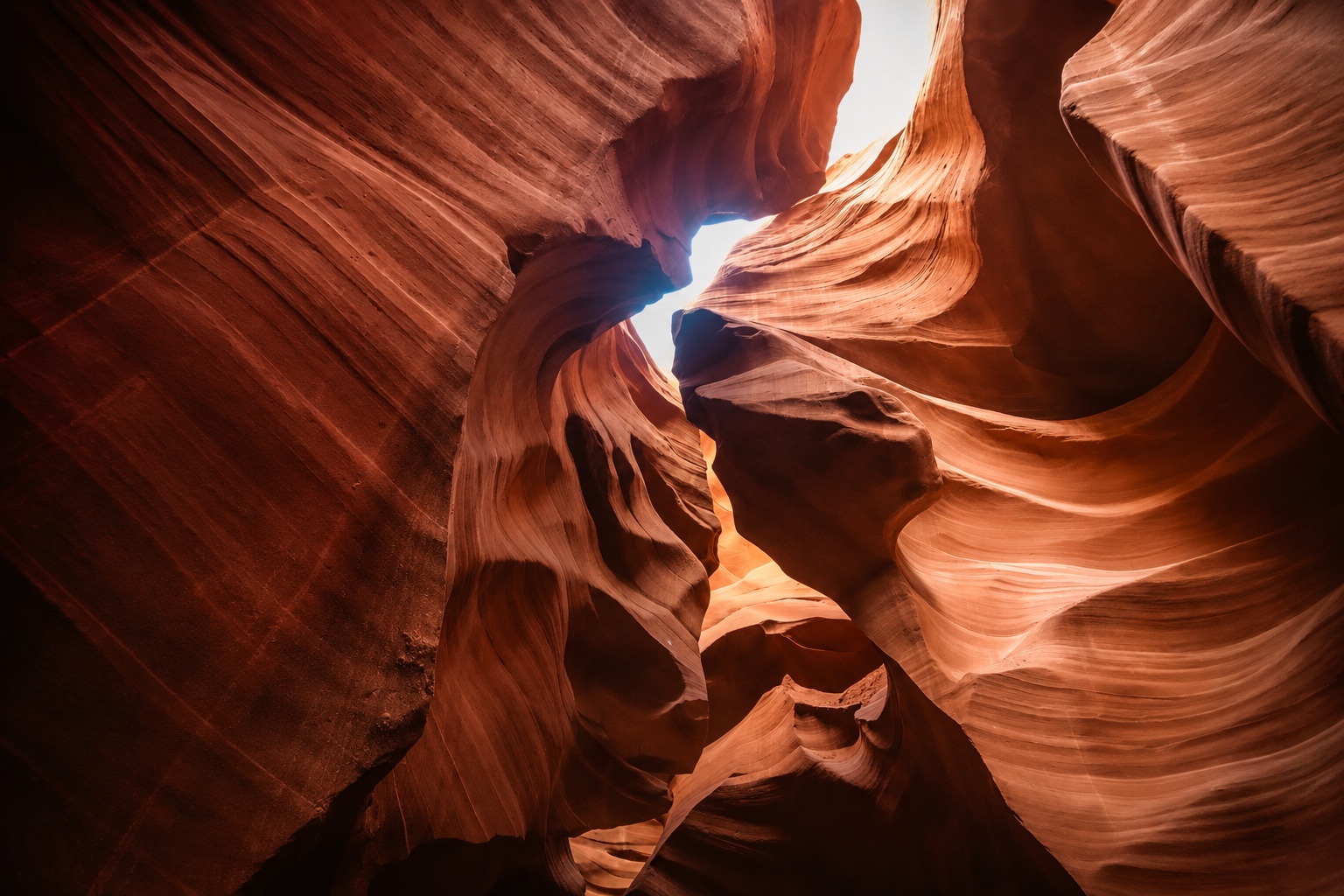 Sunlight opening between flowing terracotta sandstone canyon walls.
